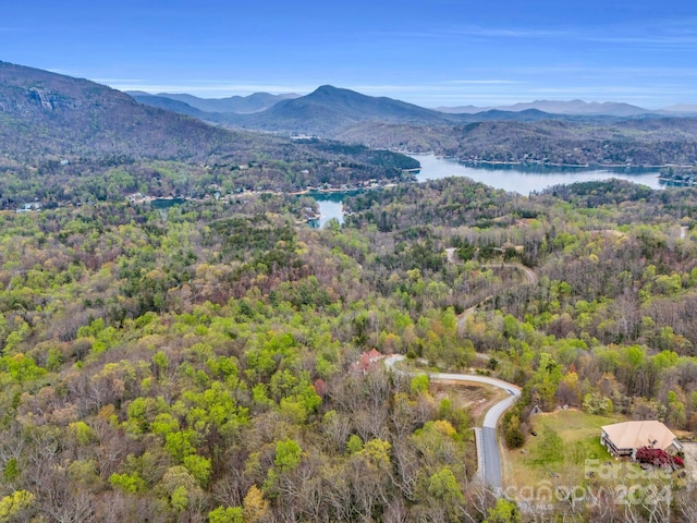 Listing photo 2 for 999 Clear Creek Trl Unit 36, Lake Lure NC 28746