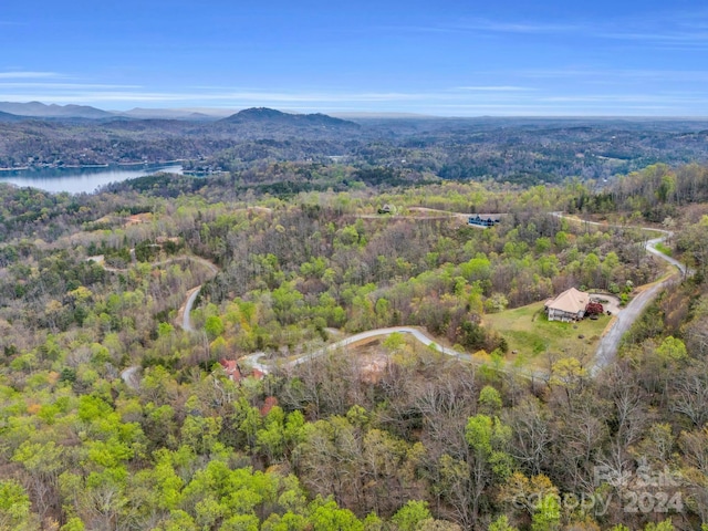 Listing photo 3 for 999 Clear Creek Trl Unit 36, Lake Lure NC 28746