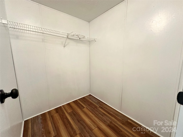 spacious closet with hardwood / wood-style flooring