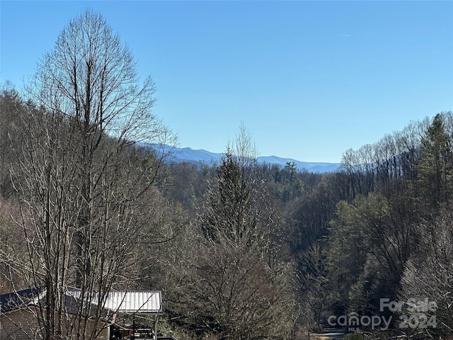 property view of mountains