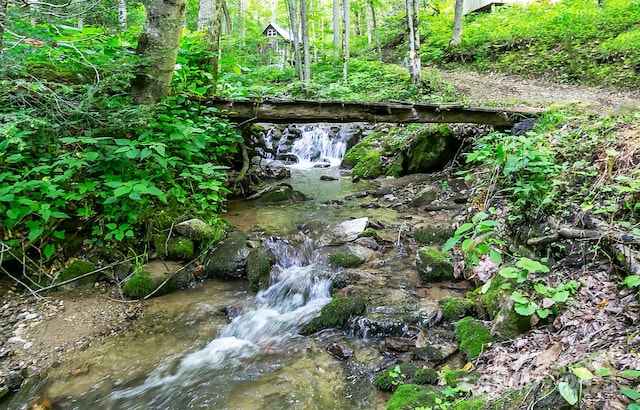 view of local wilderness with a water view