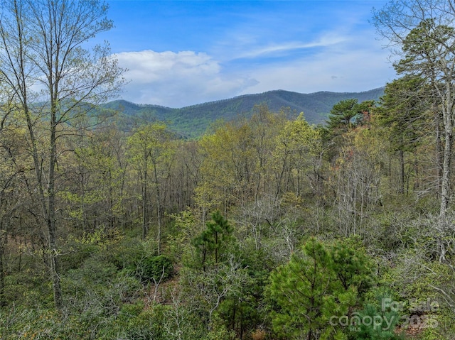 92 Smokey Ridge Trl, Arden NC, 28704 land for sale