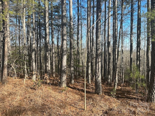 0000 Pine Cone Trl, Rutherfordton NC, 28139 land for sale