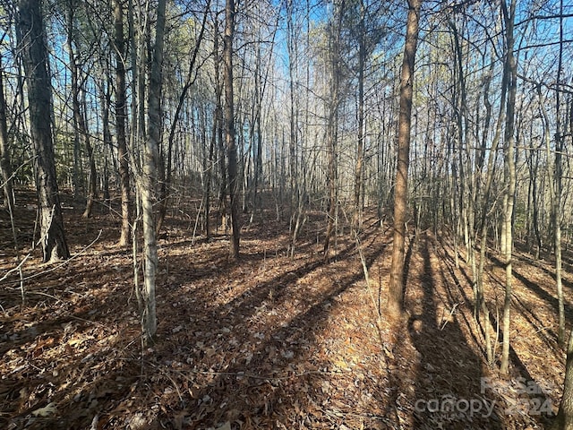 Listing photo 2 for 0000 Pine Cone Trl, Rutherfordton NC 28139