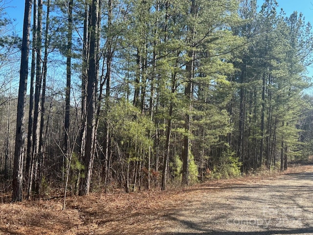 Listing photo 3 for 0000 Pine Cone Trl, Rutherfordton NC 28139