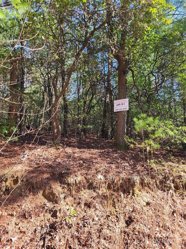 LOTD1ANDD2000 Dogwood Ln, Penrose, NC 28766 - photo 4
