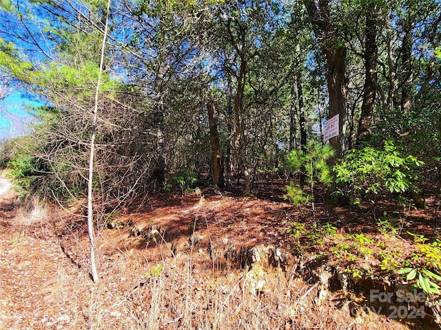LOTD1ANDD2000 Dogwood Ln, Penrose, NC 28766 - photo 5