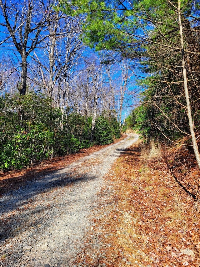 LOTD1ANDD2000 Dogwood Ln, Penrose, NC 28766 - photo 6