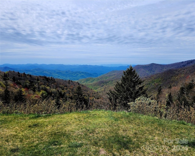 000 N Fork Rd Unit 4A, Sylva NC, 28779 land for sale