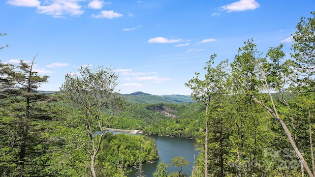 Listing photo 3 for LT15B Von Trapp Ln Unit 15B, Tuckasegee NC 28783