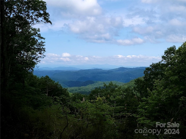 Listing photo 3 for 6 Miller Mountain Rd, Saluda NC 28773