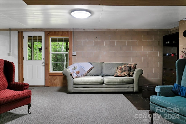 view of carpeted living room