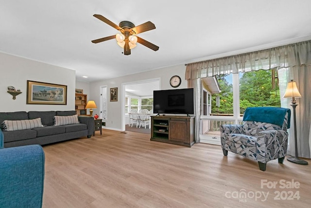 living room with ceiling fan, a wealth of natural light, and light hardwood / wood-style floors