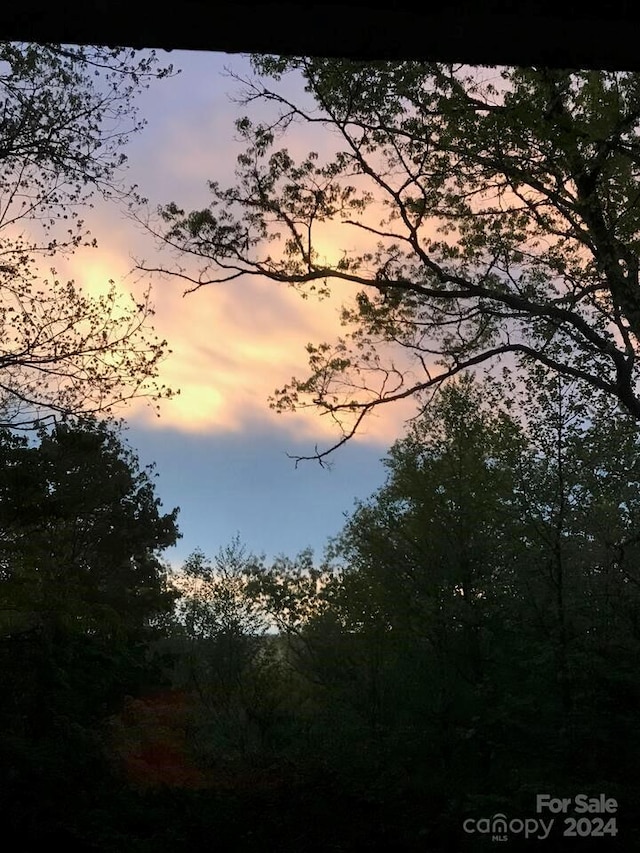 view of nature at dusk