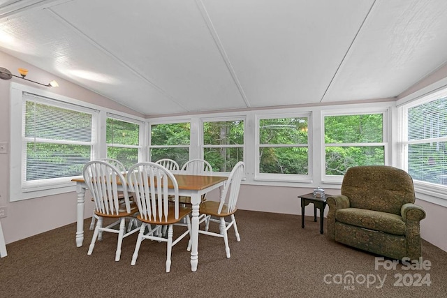 sunroom with vaulted ceiling