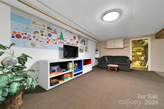 playroom with carpet