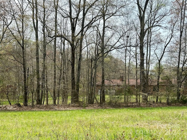 view of local wilderness