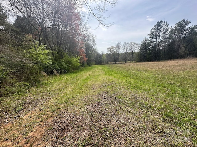 view of local wilderness