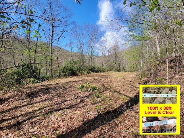 965 Autumn Dr Unit 602, Maggie Valley NC, 28751 land for sale