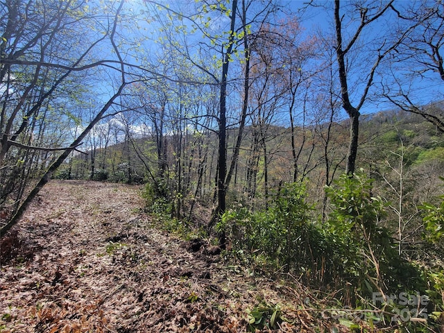 Listing photo 3 for 965 Autumn Dr Unit 602, Maggie Valley NC 28751