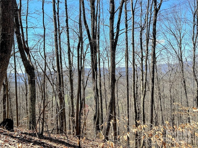 LOT15 Red Wolf Run Unit 15, Mars Hill NC, 28754 land for sale