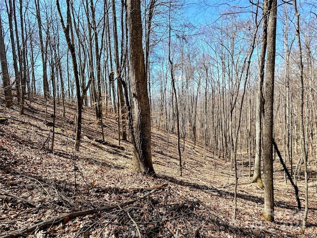 Listing photo 2 for LOT15 Red Wolf Run Unit 15, Mars Hill NC 28754