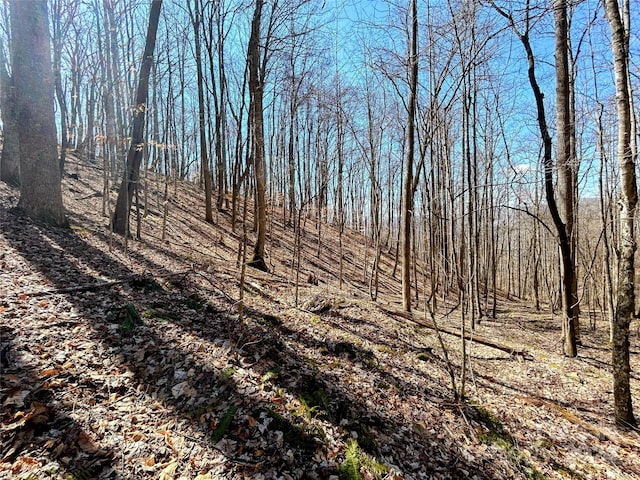 Listing photo 3 for LOT15 Red Wolf Run Unit 15, Mars Hill NC 28754