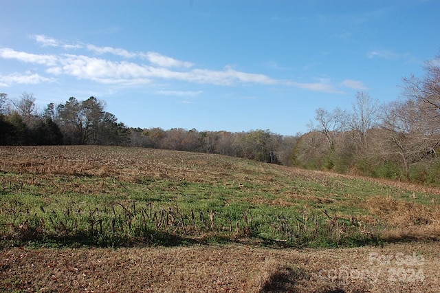 24137 Saint Martin Rd Unit Tract No 2, Albemarle NC, 28001 land for sale