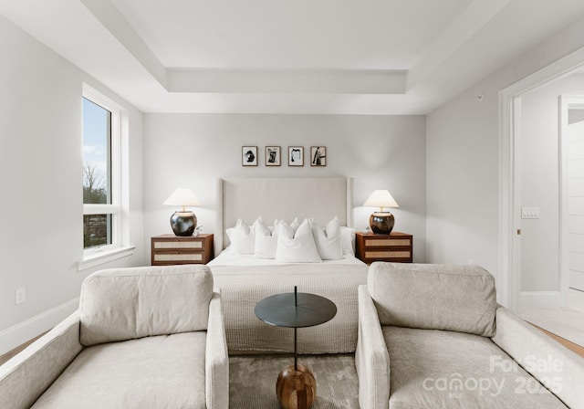 bedroom featuring a tray ceiling