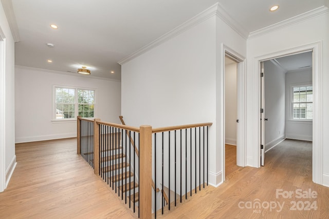 hallway featuring light hardwood / wood-style floors, ornamental molding, and a healthy amount of sunlight