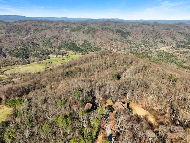 birds eye view of property featuring a mountain view