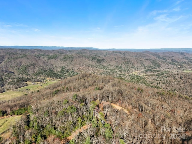 aerial view with a mountain view