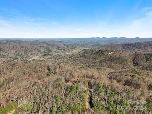 view of mountain feature