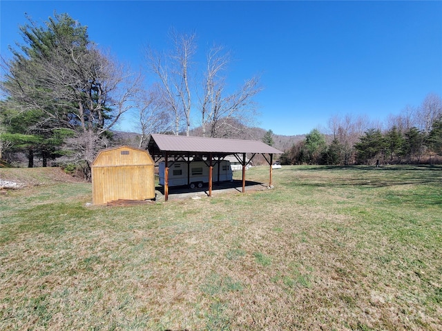 view of yard with a storage unit