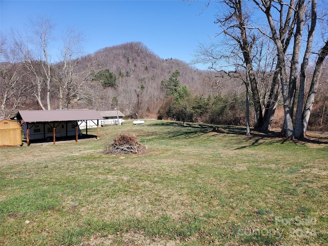 view of yard featuring an outdoor structure and a mountain view