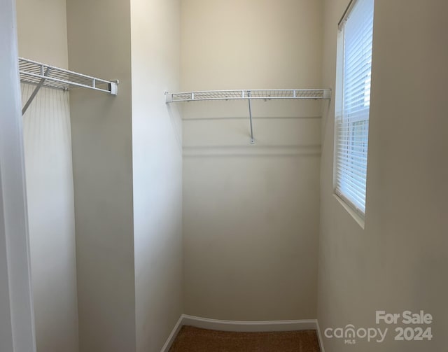 spacious closet featuring carpet flooring