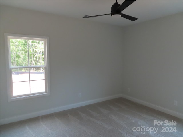 spare room featuring ceiling fan and carpet flooring