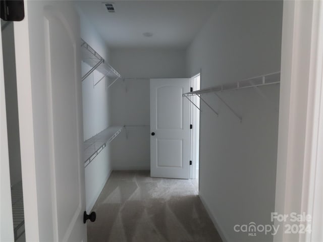 walk in closet with light carpet