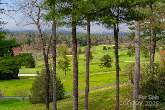 view of community with a lawn