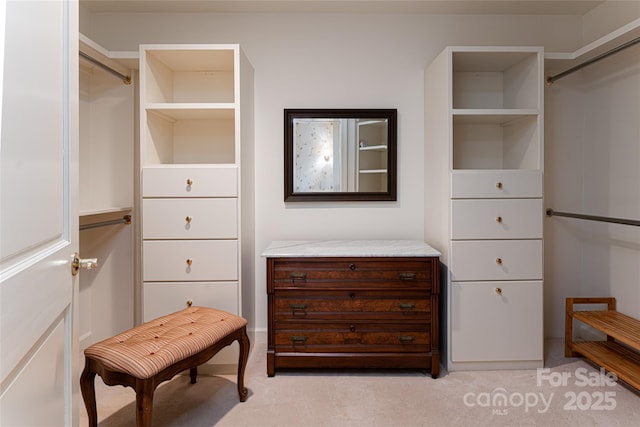 walk in closet featuring light carpet