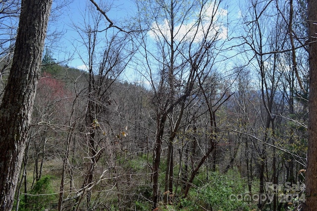 LOT8 Town Mountain Rd, Asheville NC, 28804 land for sale