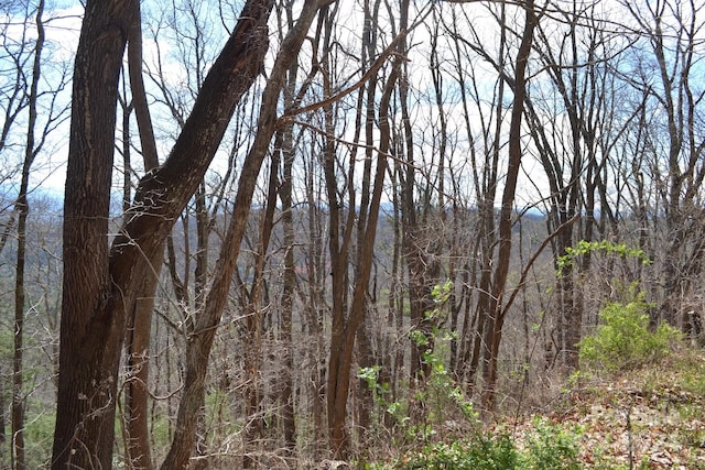 Listing photo 2 for LOT8 Town Mountain Rd, Asheville NC 28804