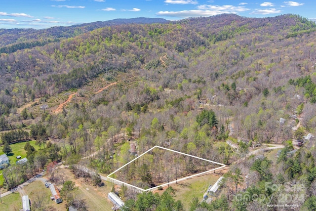 0000 Pine Valley Dr Unit 2, Marion NC, 28752 land for sale