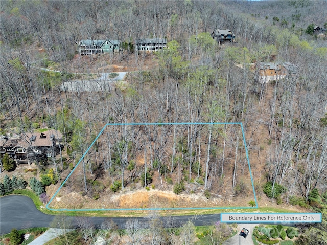 29 Red Tail Ct Unit 506, Fairview NC, 28730 land for sale