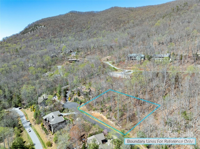 Listing photo 3 for 29 Red Tail Ct Unit 506, Fairview NC 28730