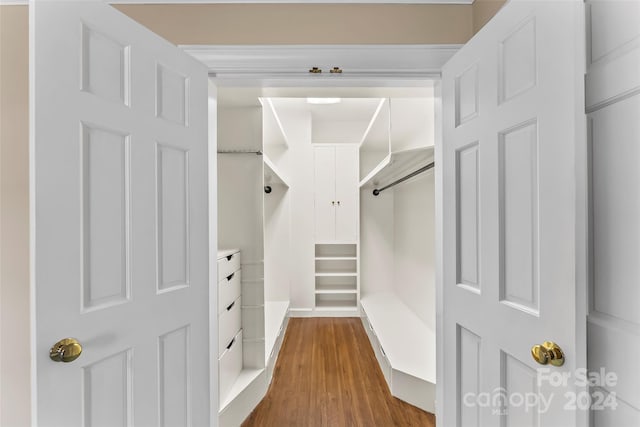 walk in closet featuring hardwood / wood-style floors