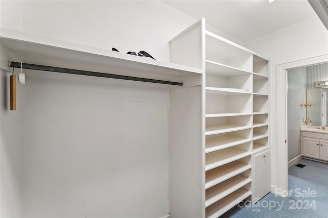 walk in closet with light carpet and sink