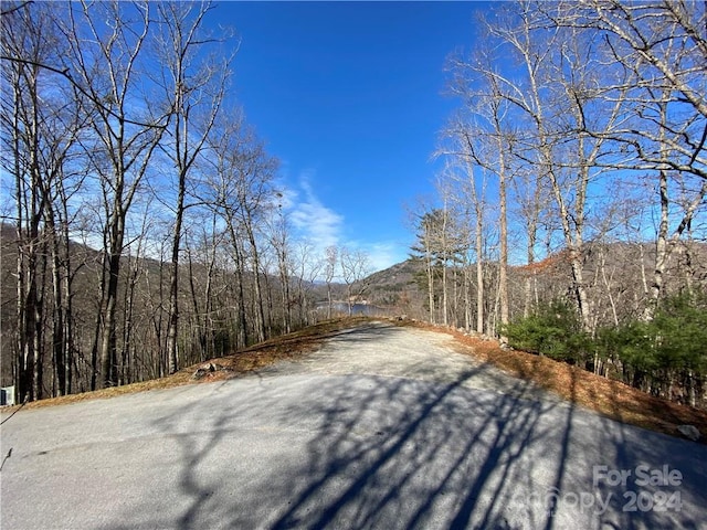 Listing photo 3 for 000 Lake Forest Dr Unit 167, Tuckasegee NC 28783