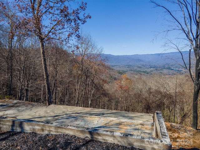 636 Shiners Rdg, Almond NC, 28702 land for sale