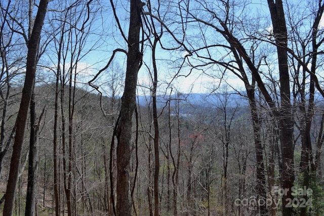 LOT9 Town Mountain Rd, Asheville NC, 28804 land for sale